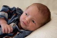 Retro Benson Newborn Sept 2012-4029
