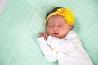 Hailey B: Newborn