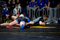 State HS Wrestling Day1 2025-5697