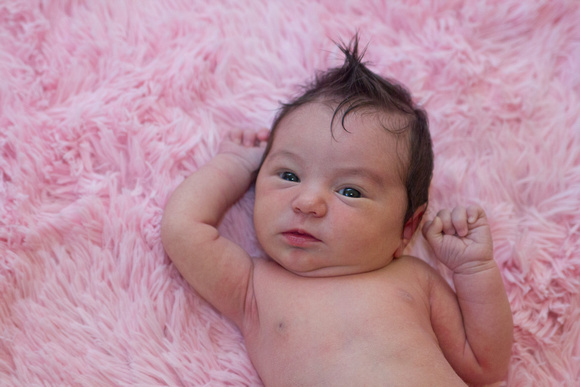 Newborn Olivia   Zoey Fall 2013-6251
