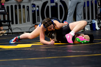 State HS Wrestling Day1 2025-5669